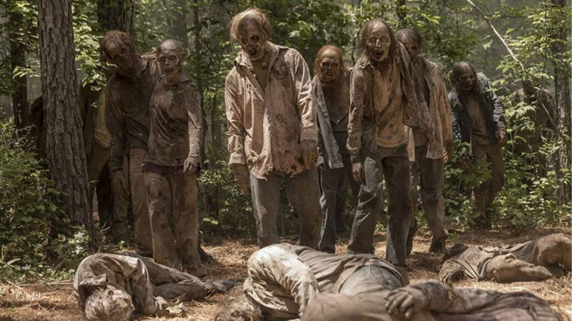 Muitos consideram esse filme de zumbis da Netflix como o melhor do gênero dos últimos anos – Notícias de cinema