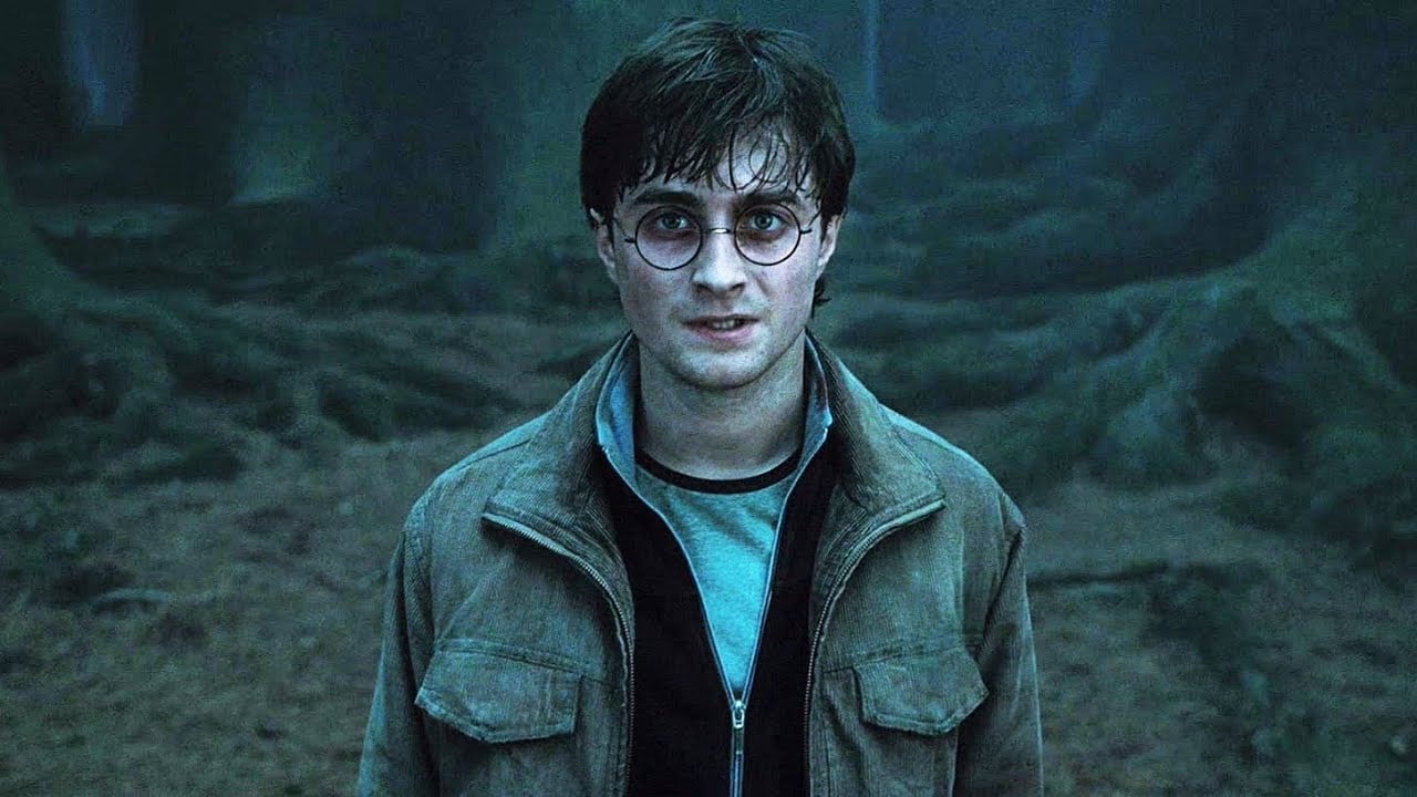 Todos os filmes de Harry Potter, do pior ao melhor – Notícias de cinema