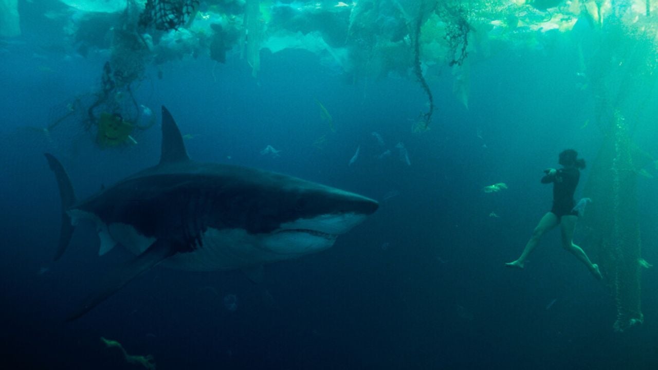 “É uma pena, até Megatubarão 2 é mais coerente”: Cientistas franceses indignados com o filme de tubarão da Netflix, Sob as Águas do Sena – Notícias de cinema