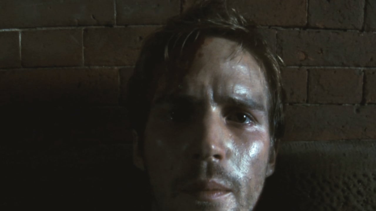 Esse é um dos maiores mistérios do cinema: De onde veio o monstro de Cloverfield? – Notícias de cinema