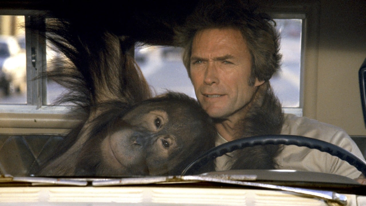 “Todo mundo me implorou para não fazer esse filme”: Clint Eastwood não deu ouvidos a ninguém e teve o maior sucesso de sua carreira – Notícias de cinema