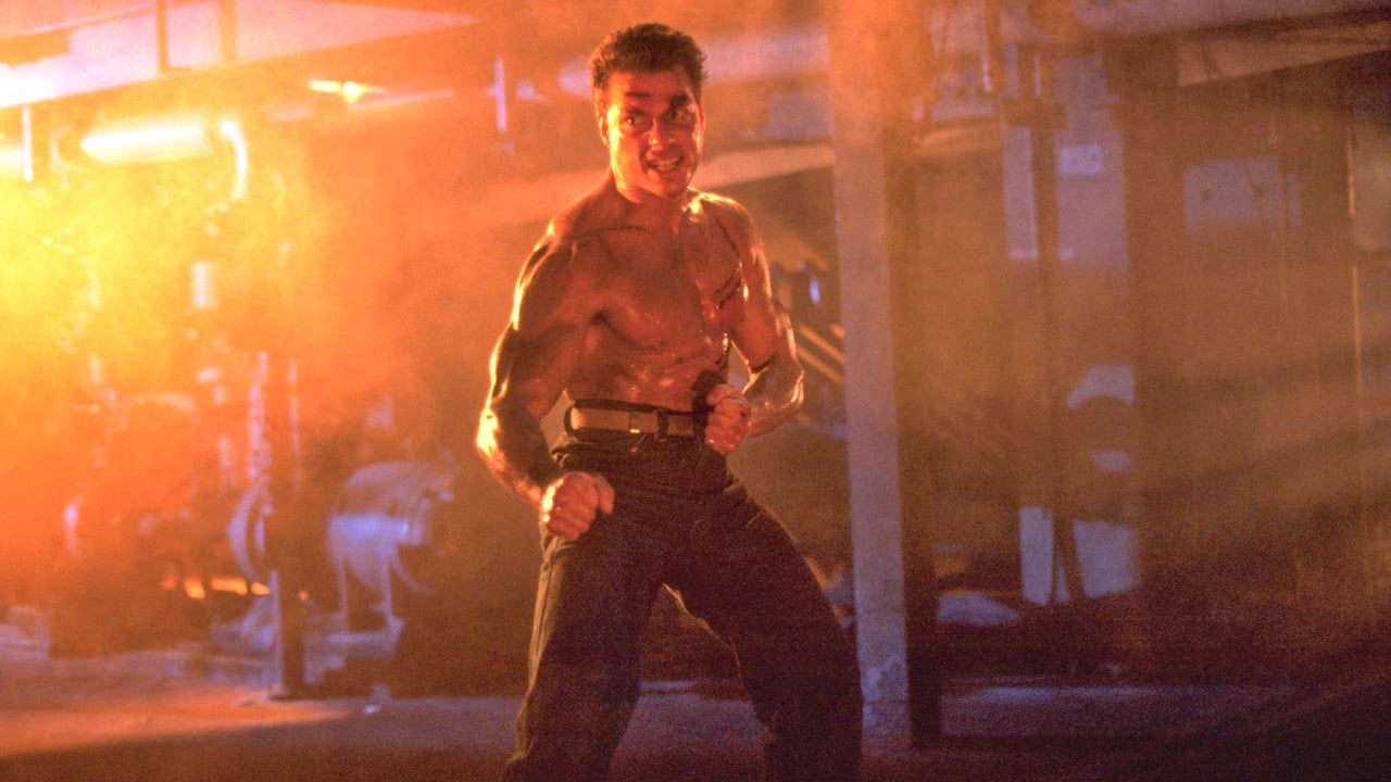 Hoje no streaming: Steven Seagal quase foi o protagonista deste suspense com Jean-Claude Van Damme – Notícias de cinema